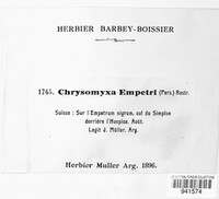 Chrysomyxa empetri image
